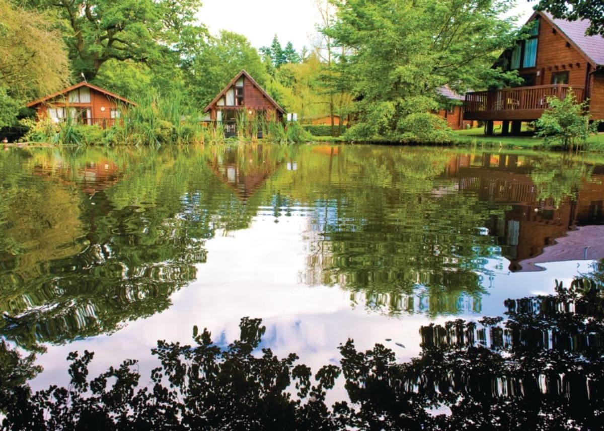 فندق Parkendفي  Whitemead Forest Park المظهر الخارجي الصورة