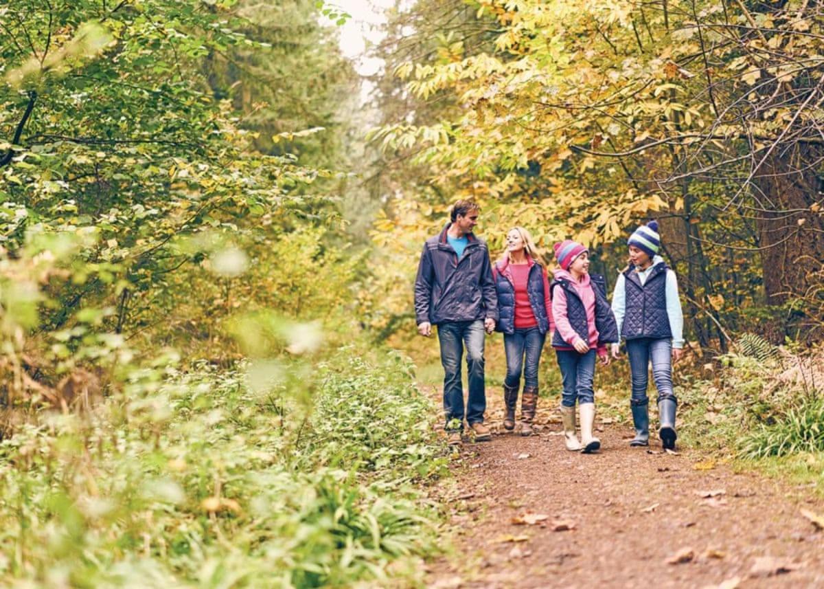 فندق Parkendفي  Whitemead Forest Park المظهر الخارجي الصورة
