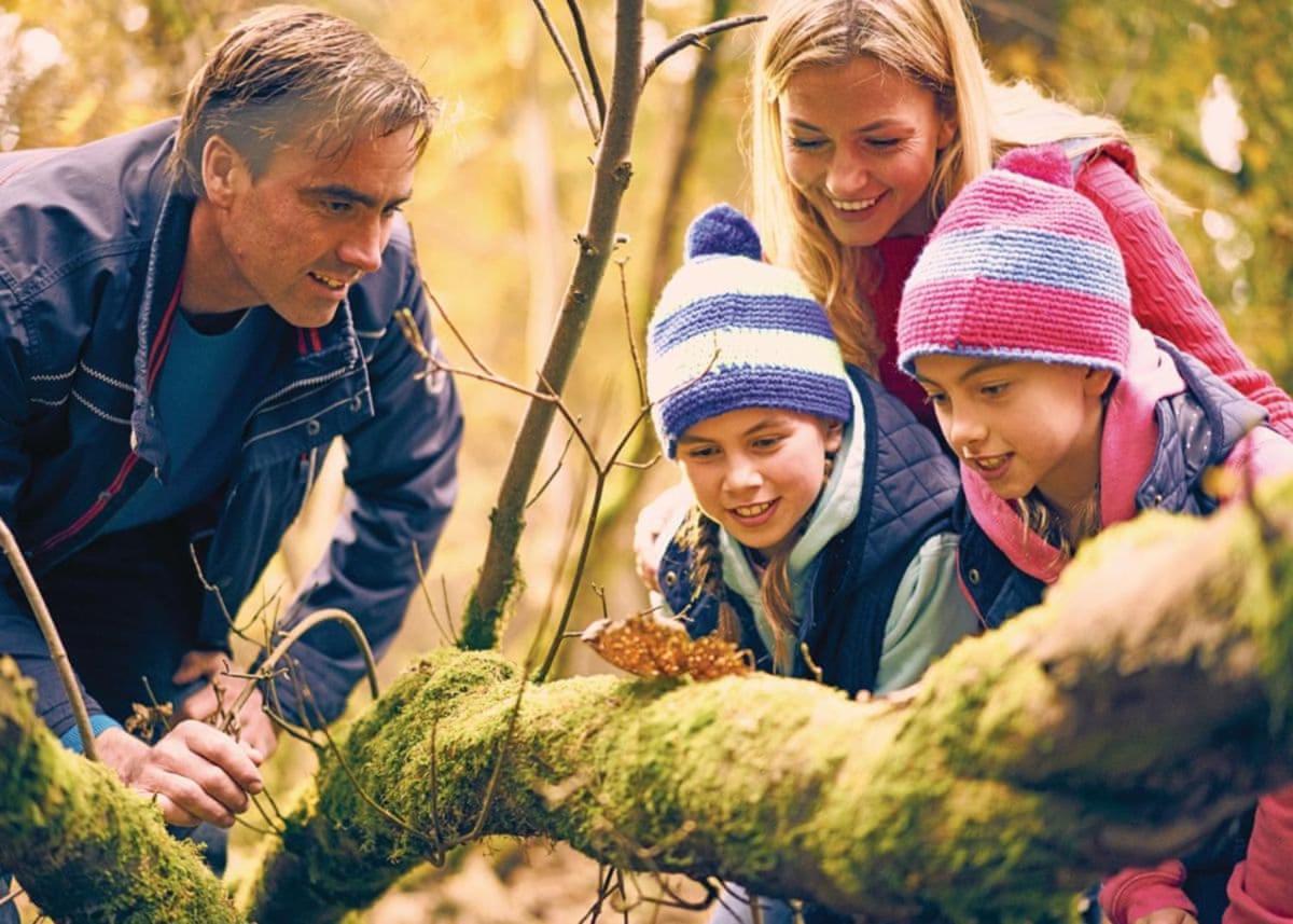 فندق Parkendفي  Whitemead Forest Park المظهر الخارجي الصورة