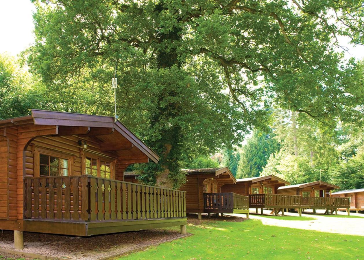 فندق Parkendفي  Whitemead Forest Park المظهر الخارجي الصورة