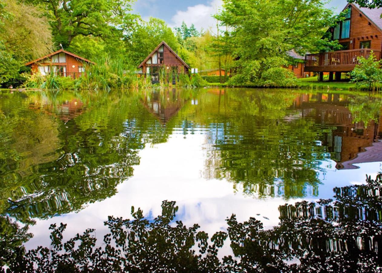 فندق Parkendفي  Whitemead Forest Park المظهر الخارجي الصورة